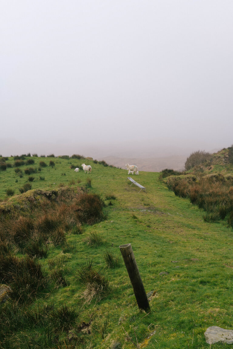 Die Farben des irischen Frühlings