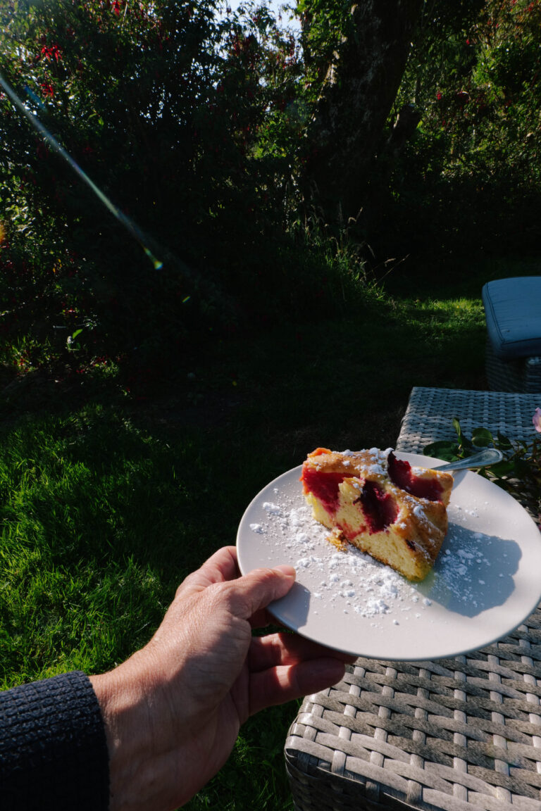 Pflaumenkuchen – ein einfaches Rezept für gemütliche Spätsommertage